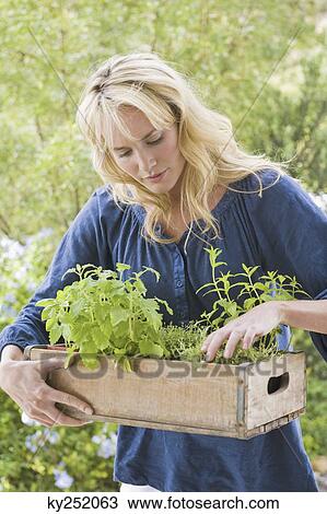Stock Image - Woman carrying a crate of plants. Fotosearch