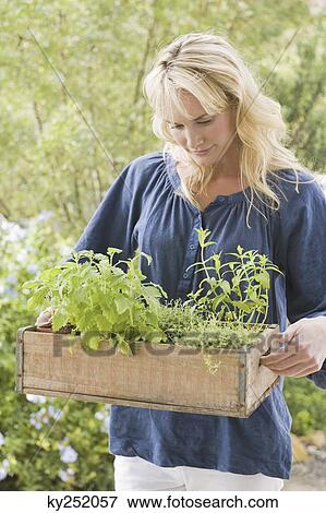 Stock Photo - Woman carrying a crate of plants. Fotosearch