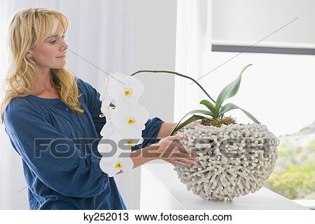 Stock Image - Woman looking at a houseplant. Fotosearch