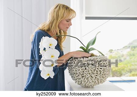 Woman looking at a houseplant View Large Photo Image Stock Photo - Woman looking at a houseplant. Fotosearch