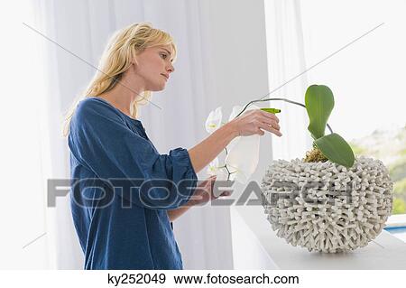 Stock Photo - Woman looking at a houseplant. Fotosearch