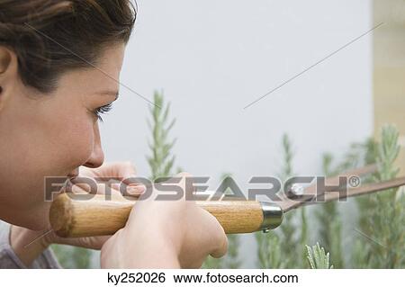 Woman trimming plants View Large Photo Image Stock Photograph - Woman trimming plants. Fotosearch