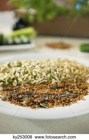 Close-up of bean sprouts with cereals on a plate View Large Photo Image Stock Photo - Close-up of bean sprouts with cereals on a plate. Fotosearch