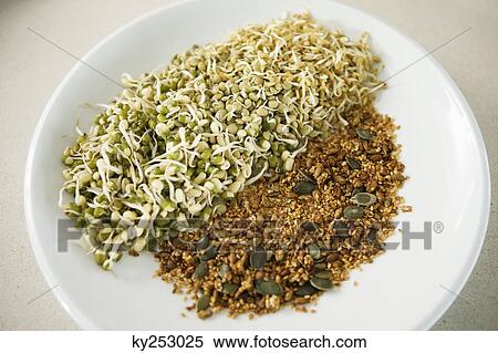 Close-up of bean sprouts with cereals on a plate View Large Photo Image Stock Photography - Close-up of bean sprouts with cereals on a plate. Fotosearch