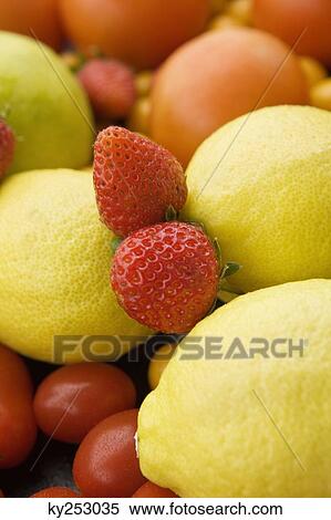 Close-up of fruits and vegetables View Large Photo Image Stock Photography - Close-up of fruits and vegetables. Fotosearch