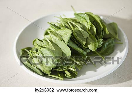 Close-up of spinach leaves on a plate View Large Photo Image Stock Image - Close-up of spinach leaves on a plate. Fotosearch