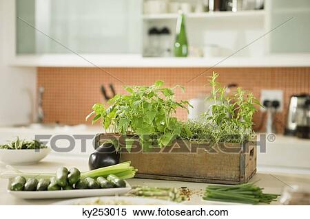 Vegetables in the kitchen View Large Photo Image Stock Photography - Vegetables in the kitchen. Fotosearch