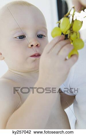 Baby boy holding a bunch of grapes View Large Photo Image Stock Image - Baby boy holding a bunch of grapes. Fotosearch