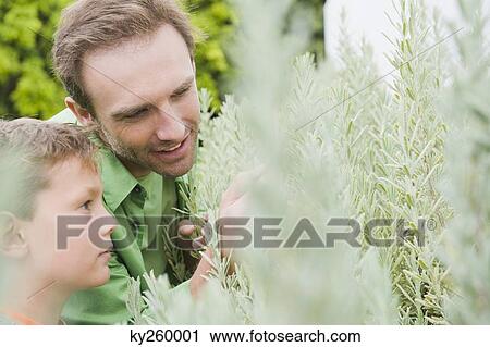 Stock Image - Man and his son examining plants. Fotosearch