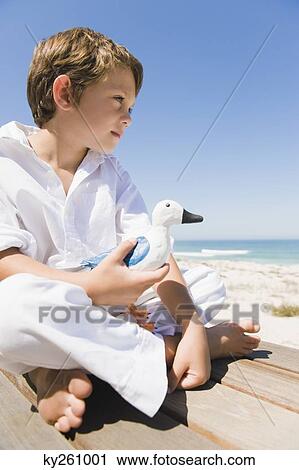 Boy sitting on a boardwalk and holding a toy bird View Large Photo Image Stock Image - Boy sitting on a boardwalk and holding a toy bird. Fotosearch