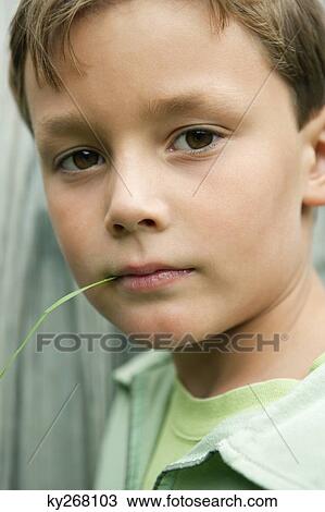 Boy holding a blade of grass in his mouth View Large Photo Image Stock Image - Boy holding a blade of grass in his mouth. Fotosearch