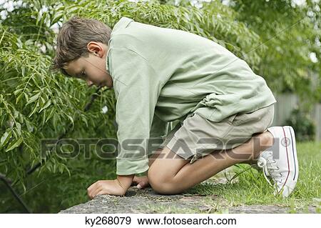 Boy playing in a garden View Large Photo Image Stock Photo - Boy playing in a garden. Fotosearch