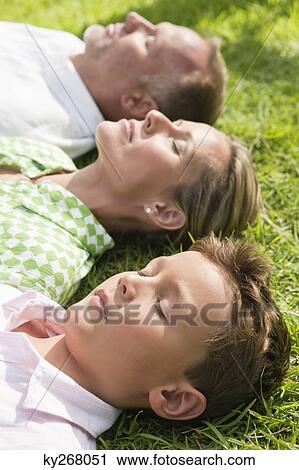 Boy with his parents lying on grass in a park View Large Photo Image Stock Image - Boy with his parents lying on grass in a park. Fotosearch