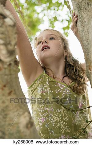Girl climbing a tree View Large Photo Image Stock Photo - Girl climbing a tree. Fotosearch