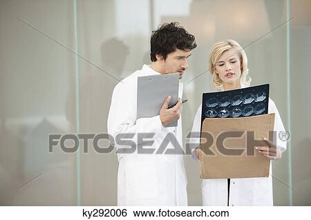 Female doctor examining x-ray with her colleague View Large Photo Image Stock Photograph - Female doctor examining x-ray with her colleague. Fotosearch