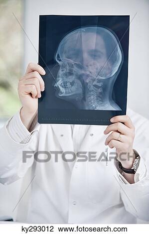 Male doctor examining an x-ray View Large Photo Image Stock Image - Male doctor examining an x-ray. Fotosearch