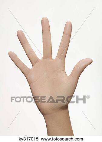 Stock Photography - Palm of woman's hand, close-up. Fotosearch