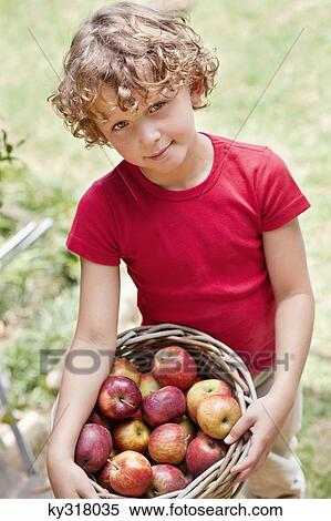 Stock Photography - Boy holding basket of apples. Fotosearch