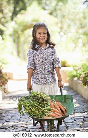 Cute girl pushing a wheelbarrow filled with carrots View Large Photo Image Stock Image - Cute girl pushing a wheelbarrow filled with carrots. Fotosearch