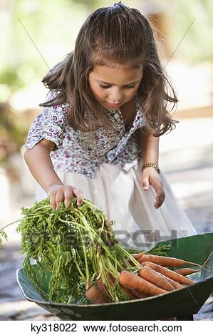 Stock Image - Cute girl putting carrots in a wheelbarrow. Fotosearch