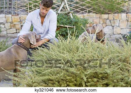 Man sitting with dogs in garden View Large Photo Image Stock Photograph - Man sitting with dogs in garden. Fotosearch