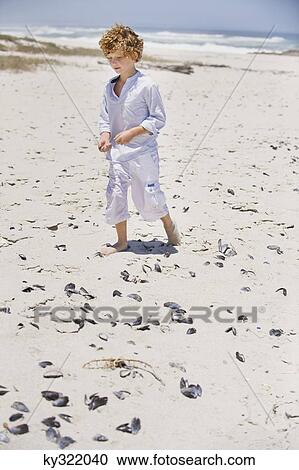 Stock Image - Boy collecting shells on the beach. Fotosearch
