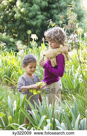 Cute little boy standing with little girl in a garden View Large Photo Image Stock Photo - Cute little boy standing with little girl in a garden. Fotosearch