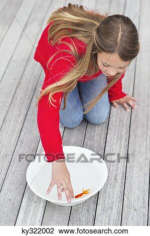 High angle view of a girl touching a fish in a bowl View Large Photo Image Stock Image - High angle view of a girl touching a fish in a bowl. Fotosearch