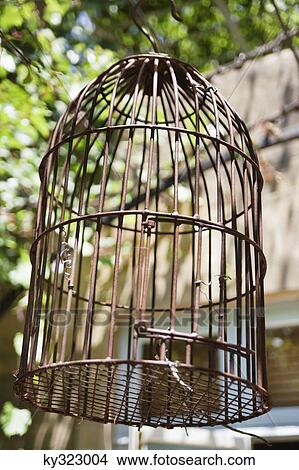 Close-up of a birdcage View Large Photo Image Picture - Close-up of a birdcage. Fotosearch