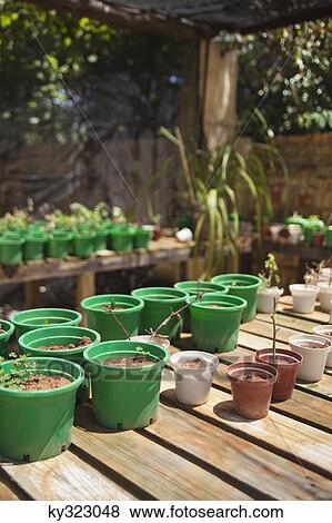 Flower pots on wooden planks View Large Photo Image Stock Photo - Flower pots on wooden planks. Fotosearch