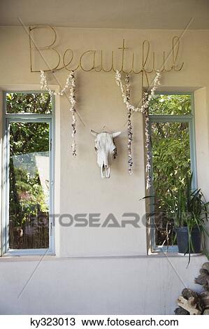 Goat skull mounted on a wall View Large Photo Image Stock Image - Goat skull mounted on a wall. Fotosearch