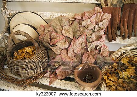 Stock Photo - Leaves with flowers and basket on a bench. Fotosearch
