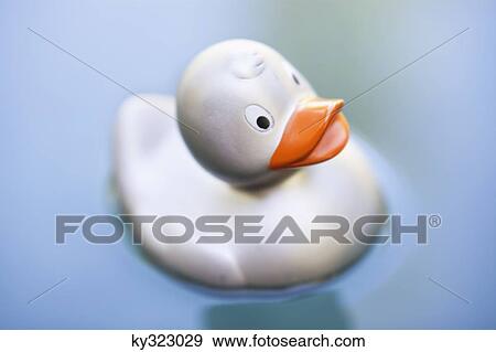 Rubber duck floating on water View Large Photo Image Stock Photo - Rubber duck floating on water. Fotosearch