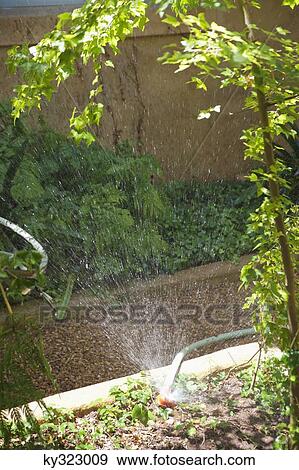 Water splashing from pipe in a garden View Large Photo Image Stock Photo - Water splashing from pipe in a garden. Fotosearch
