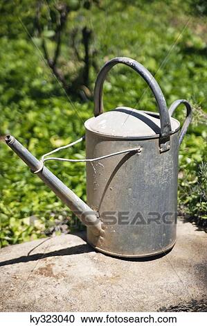 Watering can in garden View Large Photo Image Stock Image - Watering can in garden. Fotosearch
