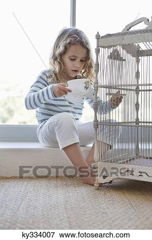 Cute little girl playing with a toy bird and birdcage View Large Photo Image Stock Photo - Cute little girl playing with a toy bird and birdcage. Fotosearch