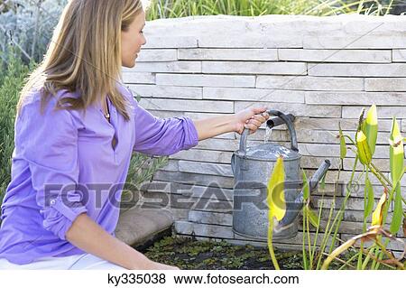 Beautiful young woman filling watering can with water View Large Photo Image Stock Photo - Beautiful young woman filling watering can with water. Fotosearch