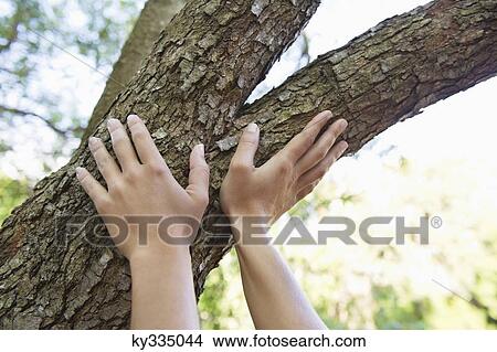 Close-up of a human hand touching tree branch View Large Photo Image Picture - Close-up of a human hand touching tree branch. Fotosearch