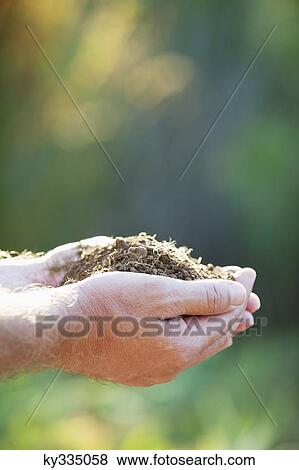 Stock Photo - Close-up of a man's hand holding soil. Fotosearch