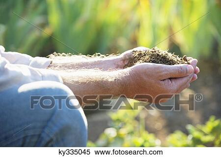 Close-up of a man's hand holding soil View Large Photo Image Stock Photography - Close-up of a man's hand holding soil. Fotosearch