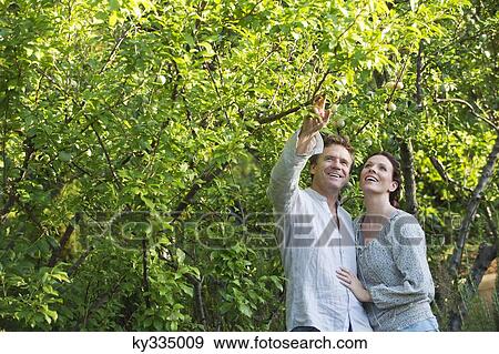 Mature couple picking fruits in a garden View Large Photo Image Stock Photo - Mature couple picking fruits in a garden. Fotosearch