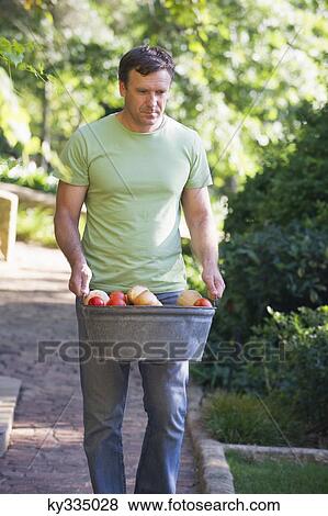 Mature man carrying fruits basket in a garden View Large Photo Image Stock Photo - Mature man carrying fruits basket in a garden. Fotosearch