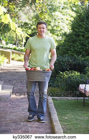 Mature man carrying fruits basket in a garden View Large Photo Image Stock Photo - Mature man carrying fruits basket in a garden. Fotosearch