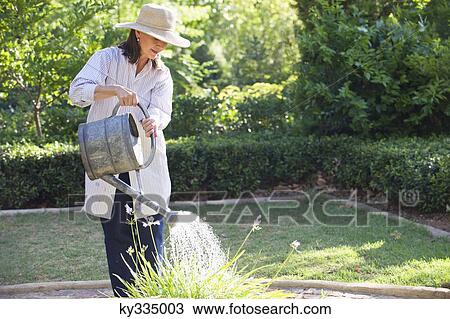 Senior woman in straw hat watering plants in a garden View Large Photo Image Stock Image - Senior woman in straw hat watering plants in a garden. Fotosearch