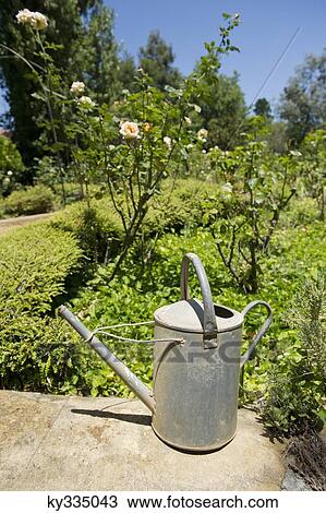 Watering can on a rock in a garden View Large Photo Image Stock Image - Watering can on a rock in a garden. Fotosearch