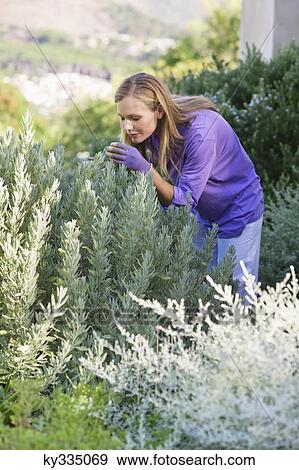 Stock Photo - Young woman gardening. Fotosearch