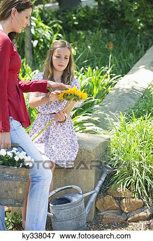 Cute little girl and mother holding sunflower outdoors View Large Photo Image Stock Photo - Cute little girl and mother holding sunflower outdoors. Fotosearch