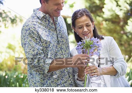Man giving flower to his mother and smiling View Large Photo Image Stock Photo - Man giving flower to his mother and smiling. Fotosearch