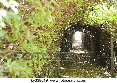 Stock Photo - Narrow path passing through a tunnel. Fotosearch