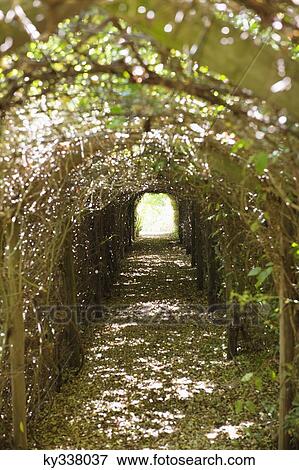 Narrow path passing through a tunnel View Large Photo Image Stock Photo - Narrow path passing through a tunnel. Fotosearch